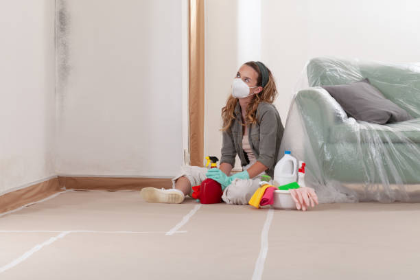 Reliable Mold Remediation contractor in Schaumburg, IL by WQB Mold Removal